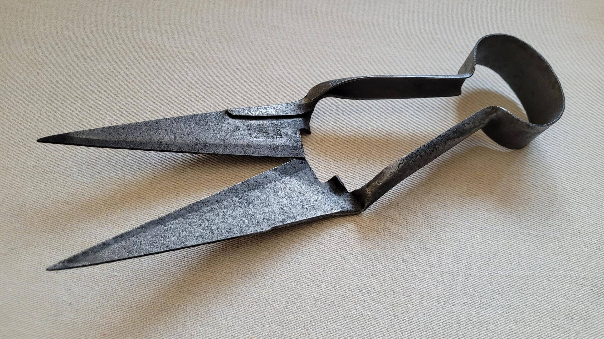 Carla's shears